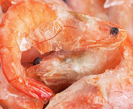 Túneles de Congelación IQF para Mariscos